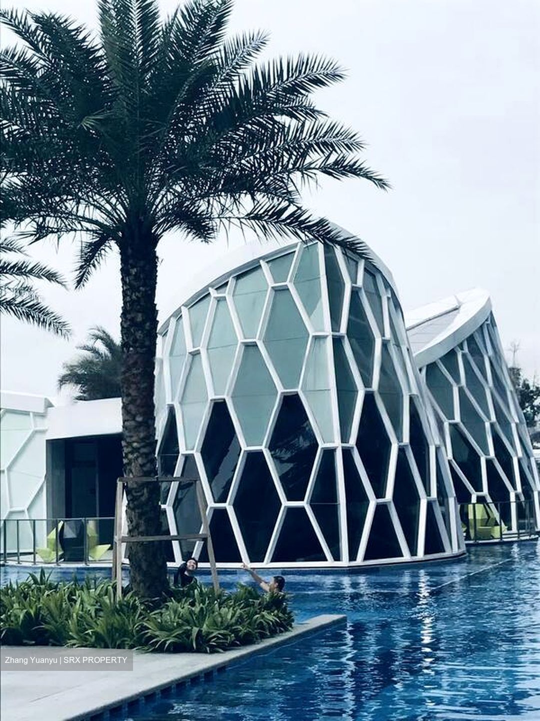 Eco Sanctuary (D23), Condominium #519483701